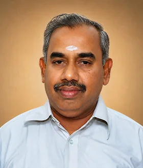 L. Neelakanta Pillai